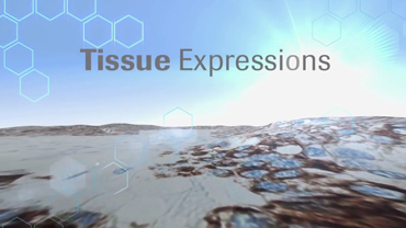 Tissue Expressions